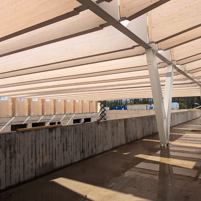 Holzbau: Ingenierholzbau